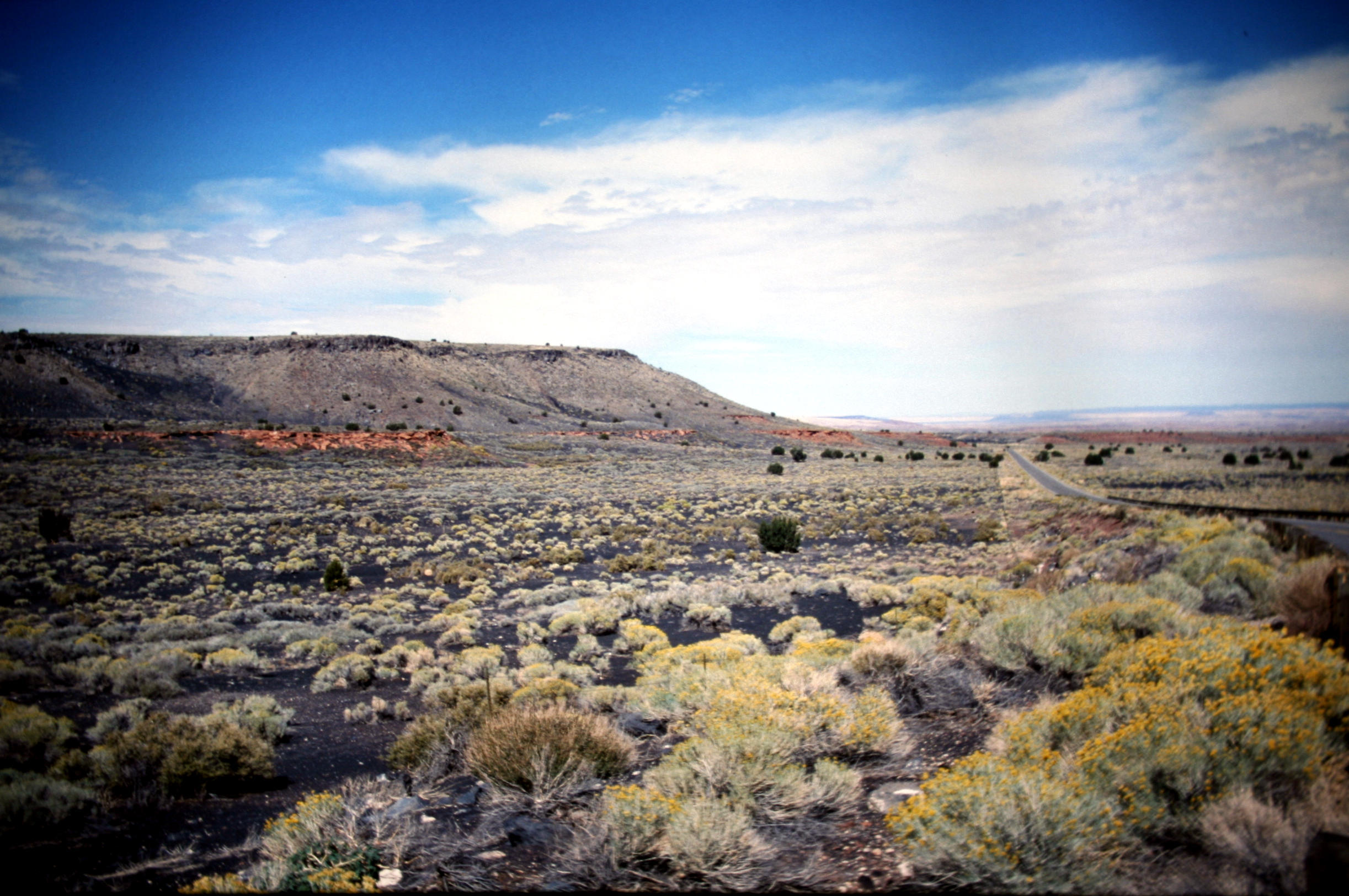 Die Anfahrt zur Painted Desert