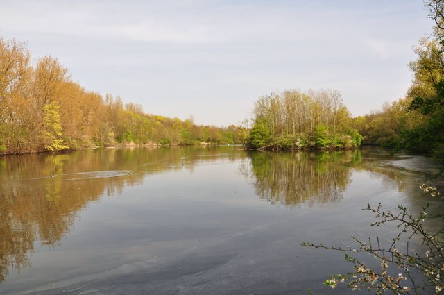 Spaziergang an den Harpener Teichen Bochum
