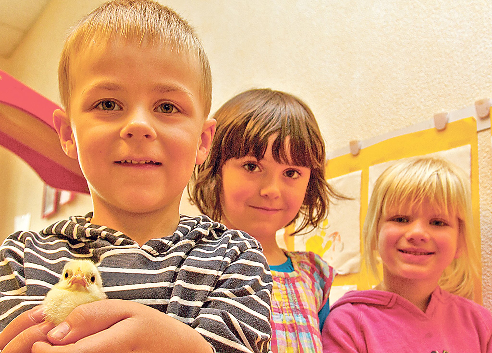 Kita-Küken sind da - Hattingen