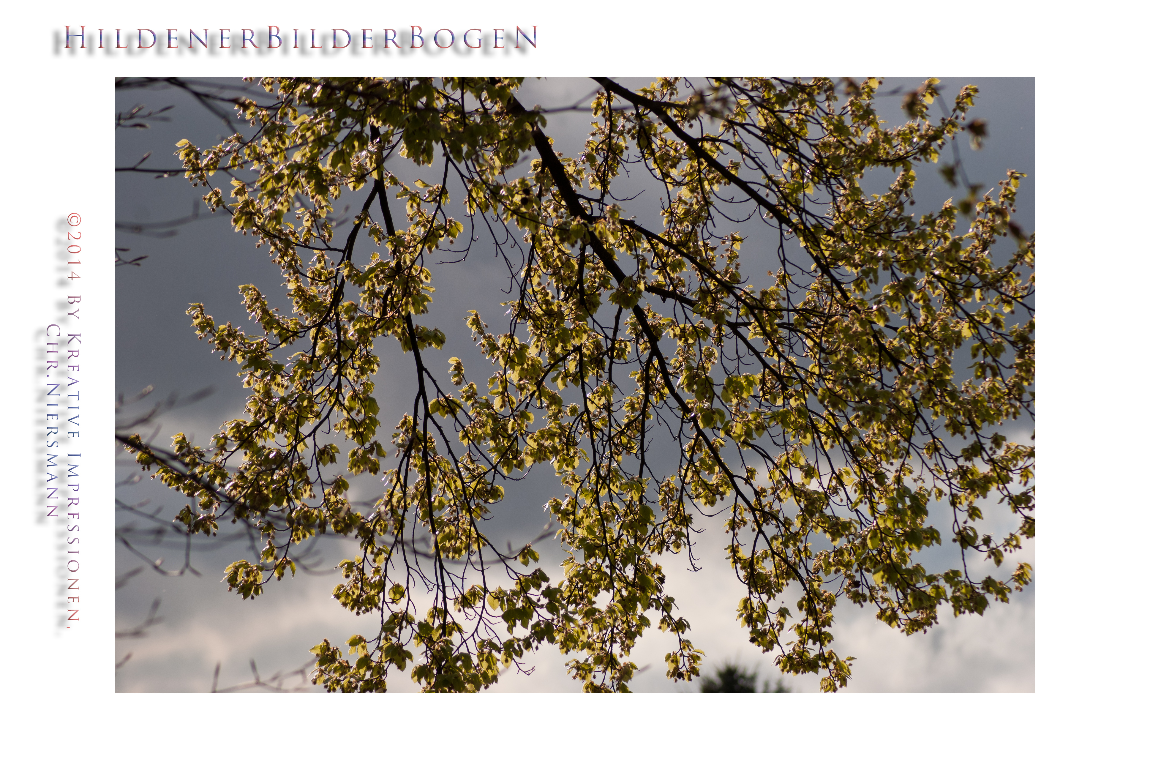 HildenerBilderbogen - Licht&Schatten © 2014, Kreative Impressionen, Chr. Niersmann