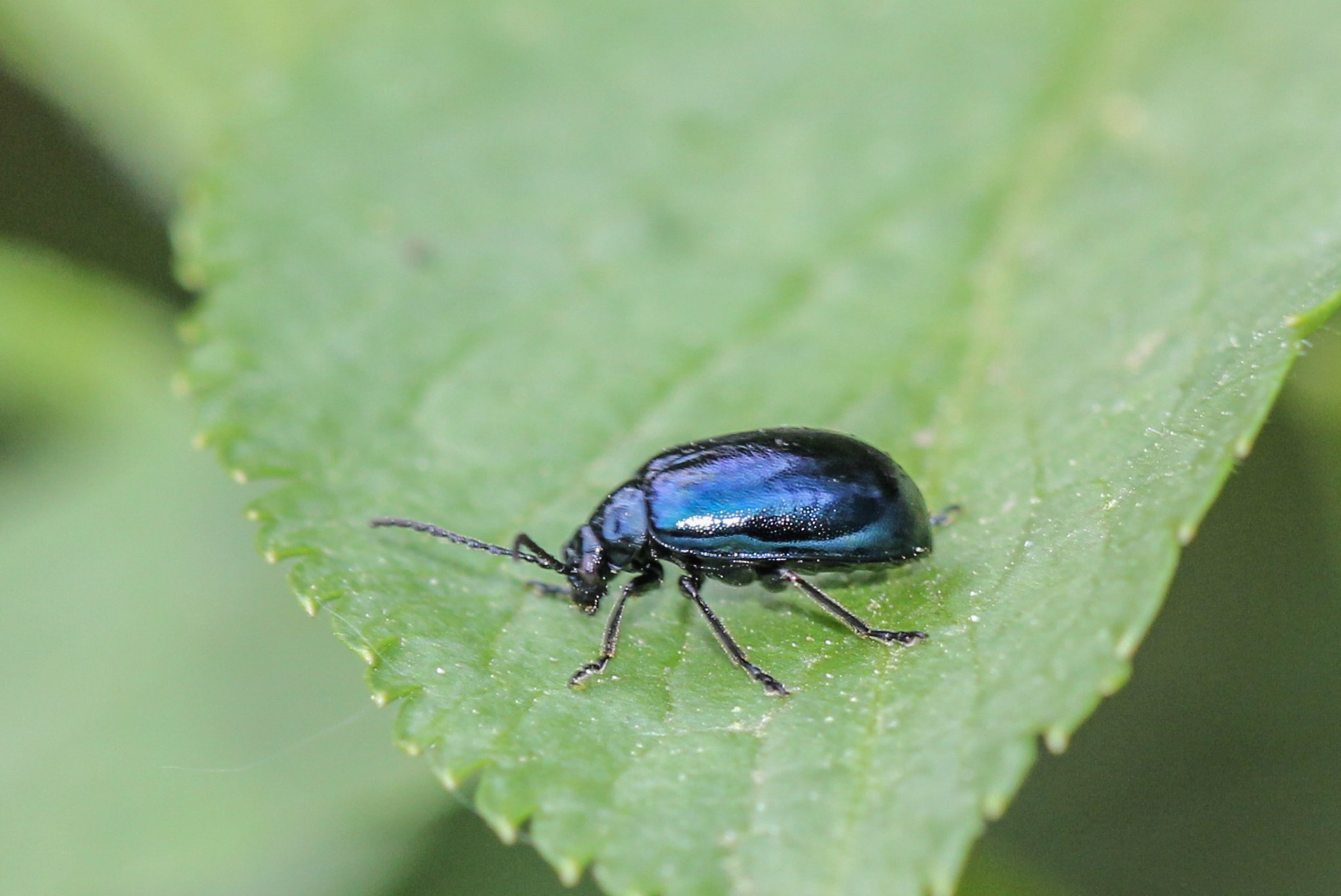 Sie sucht ihn castrop-rauxel