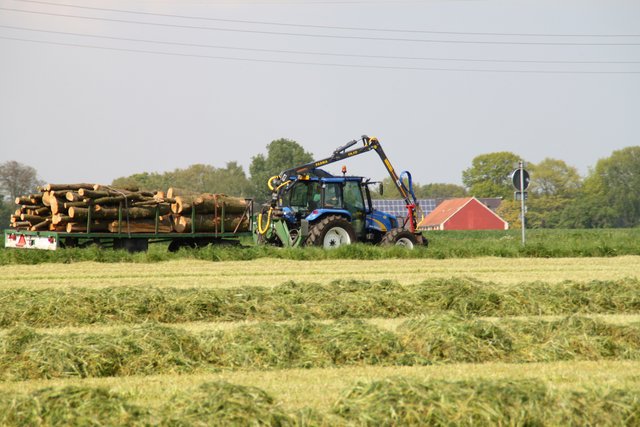 Holztransport ............