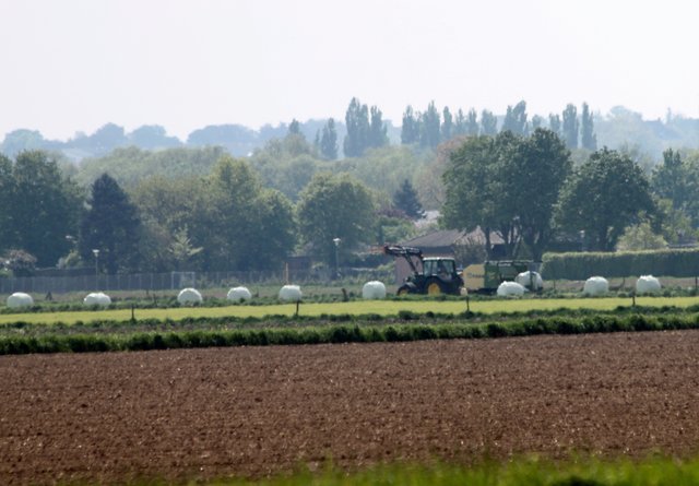 Gras eintüten aus der Ferne ....