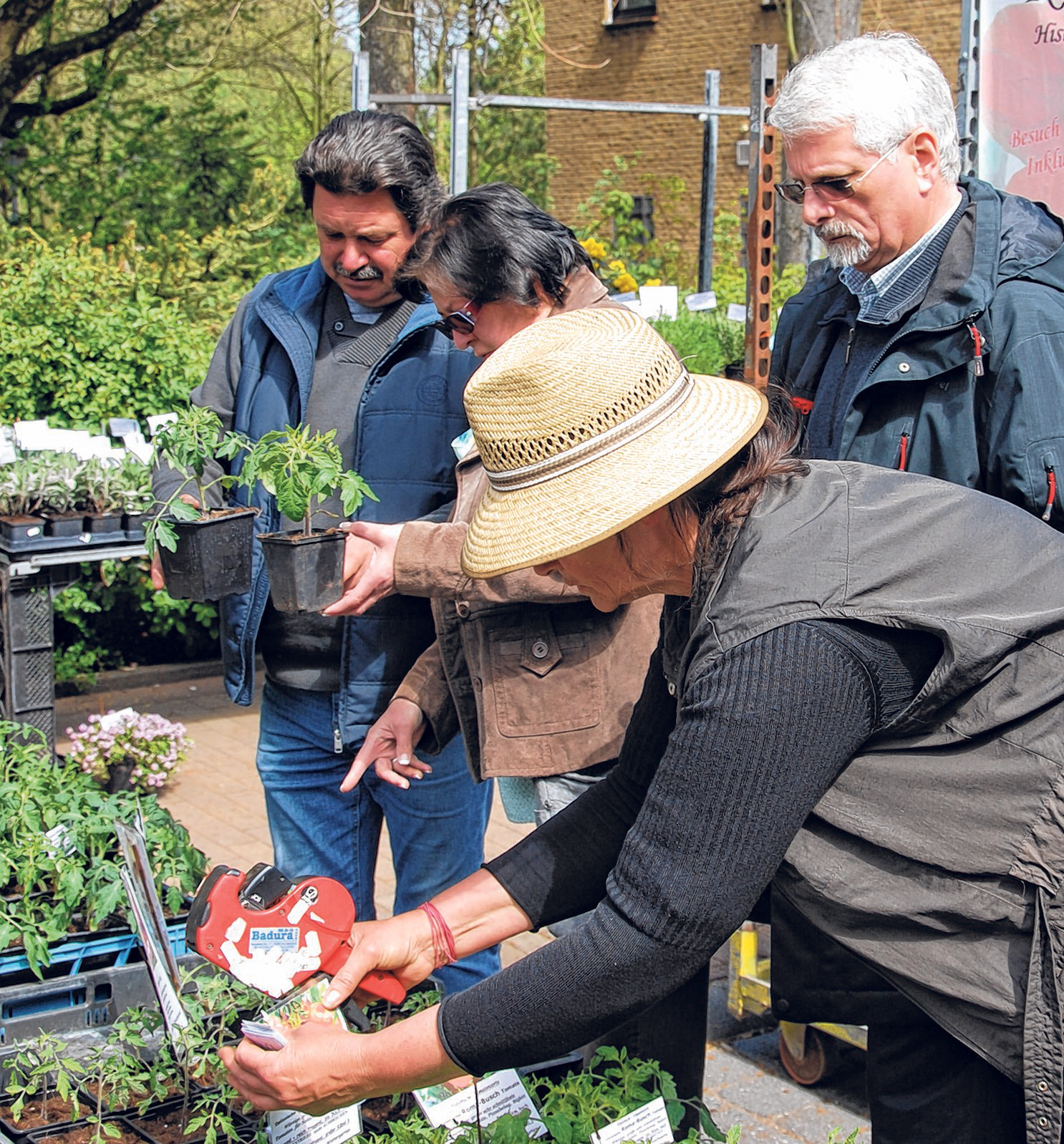 Grün für Garten oder das Beet.