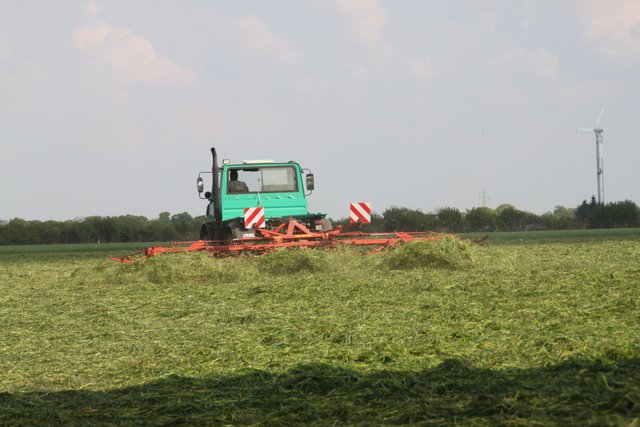 nächstes Gras wird gewendet ....