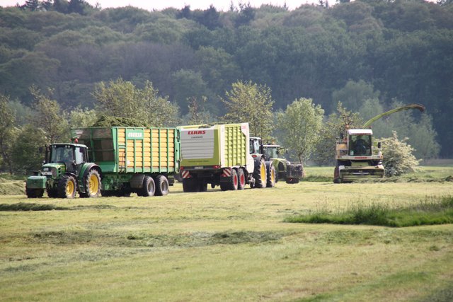 Fuhrpark in der Weide ...