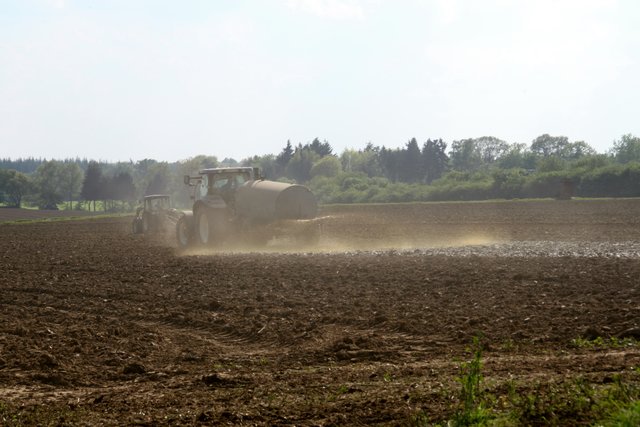 aufmerksam durch den Geruch .....