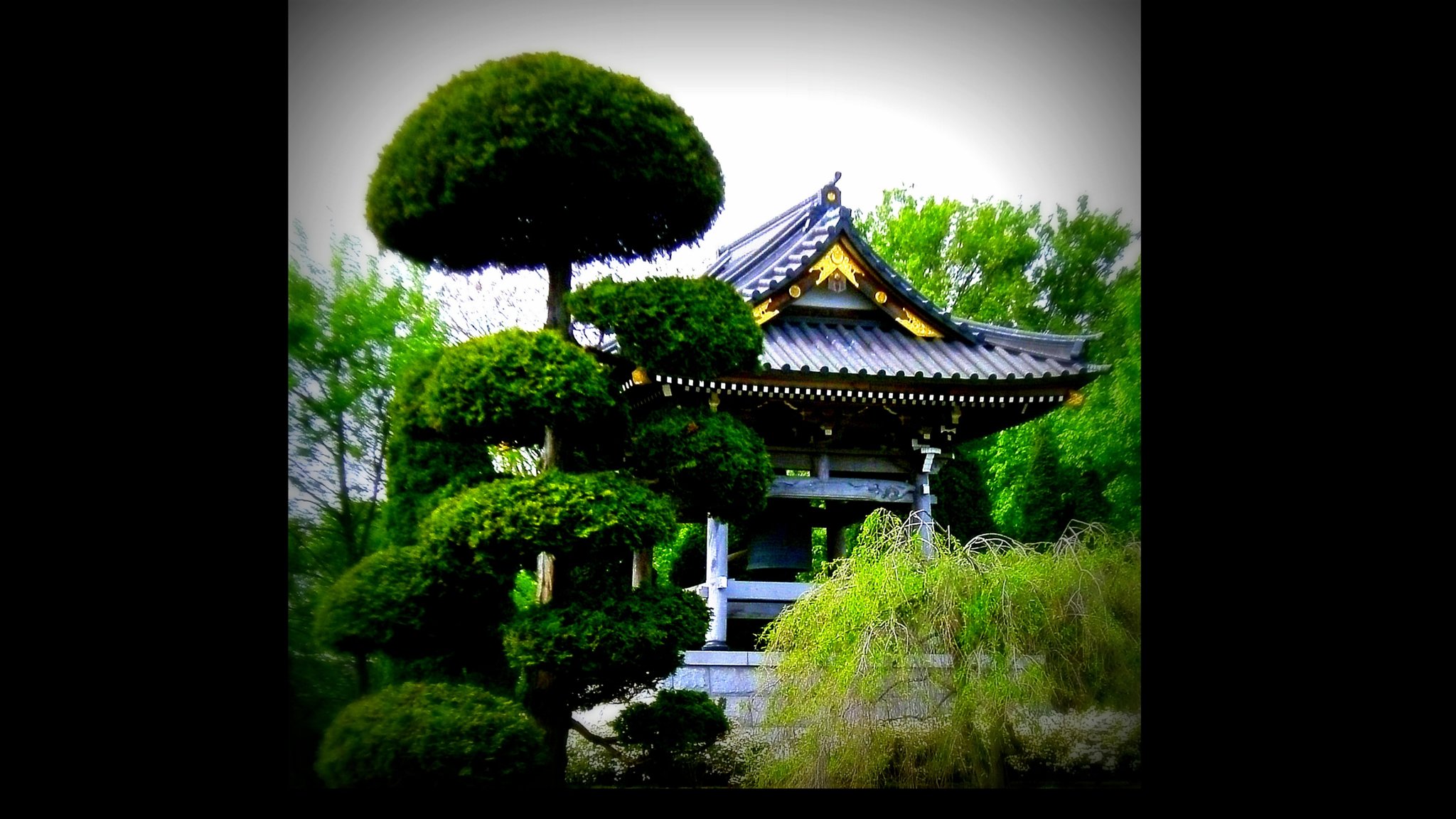 Japanischer Garten In Dusseldorf Niederkassel Impressionen Essen Steele