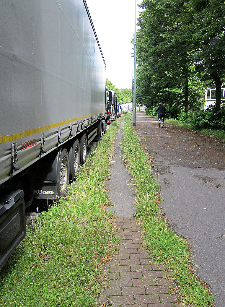 Ein Anblick, der sich den Gladbecker eigentlich jährlich bietet: Entlang der Fuß- und Radwege entlang der Konrad-Adenauer-Allee wuchert das Unkraut. Die unhaltbaren Zustände haben nun erneut Bürgermeister Ulrich Roland auf den Plan gerufen, der den Landesbetrieb „Straßen NRW“ zur sofortigen Abhilfe auffordert.