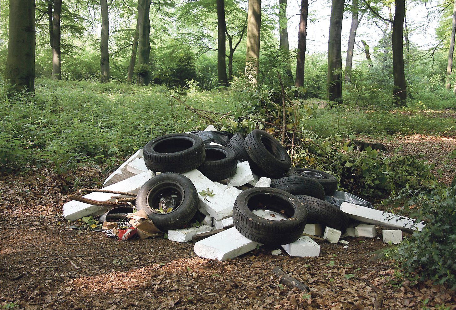 Einen Haufen Müll entsorgten Unbekannte im Wäldchen am Rieperberg auf Schwerin. Foto: Thiele