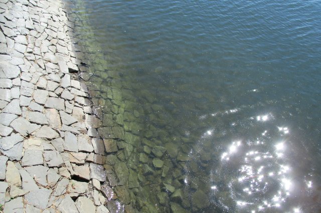 Spieglein Spieglein... dort im Wasser! Sag´, war das nicht ein SCHÖNER Tag?!