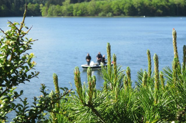 ...auf dem See war schon Betrieb...