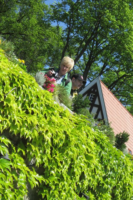 Nicole... im Grünen...