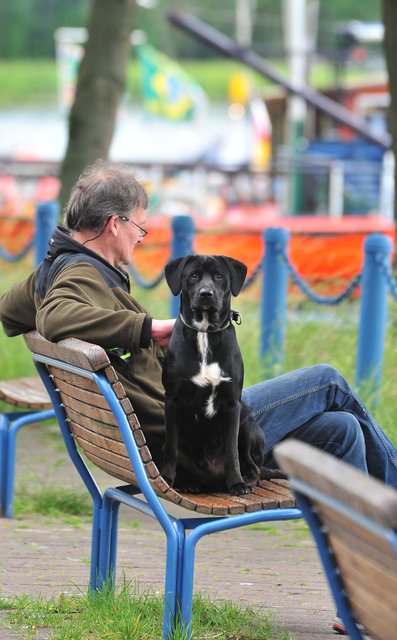 14. Day of Dragons im Dattelner Hafenbecken. Foto: Krusebild