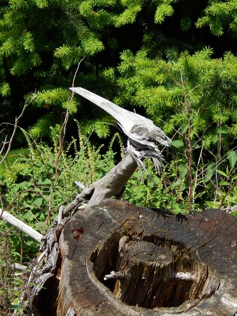 Dinosaurier leben doch noch
