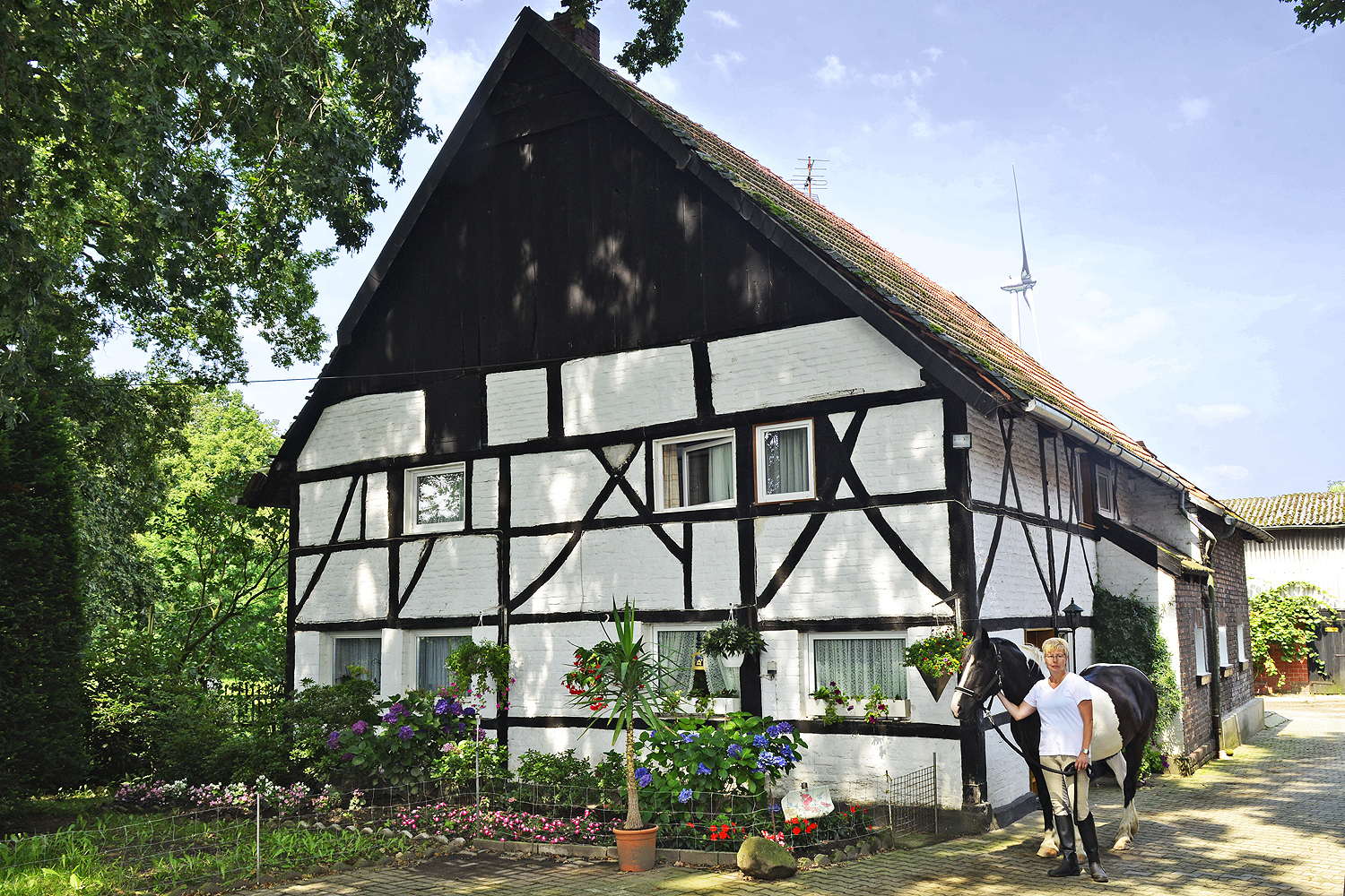 Der Hof Alfs, ein Gebäude aus dem Jahre 1638 (Hof Büsken) hatte selbst den Krieg überstanden. Anders als feste Betonbauten, verhalten sich Fachwerkhäuser mit Holzgerüstwerk bei Erd-Erschütterungen elastischer und zeigen sich dadurch standhafter. Trixi Hesse hält stolz ihre "Reitbeteiligung" am Zügel. Foto: Kariger