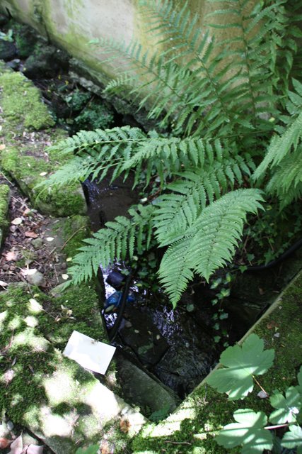 Der Glockenteichbach