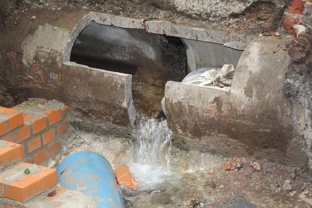 Frisches Wasser vom Glockenteichbach