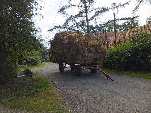durch Felder und Wälder