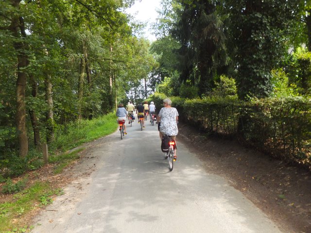 durch Felder und Wälder