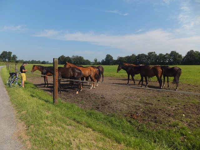 durch Felder und Wälder