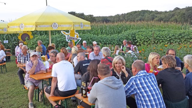 Musik im Blumenfeld: Eindrücke vom fünften „SummerSpecial“ der Stadt Olfen am Hof Tenkhoff. Foto: Werner Zempelin