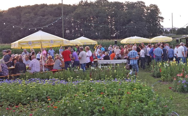 Musik im Blumenfeld: Eindrücke vom fünften „SummerSpecial“ der Stadt Olfen am Hof Tenkhoff. Foto: Werner Zempelin