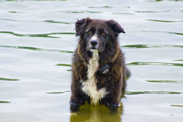 Lisa will Meer. | Foto: Beatrix Gutmann