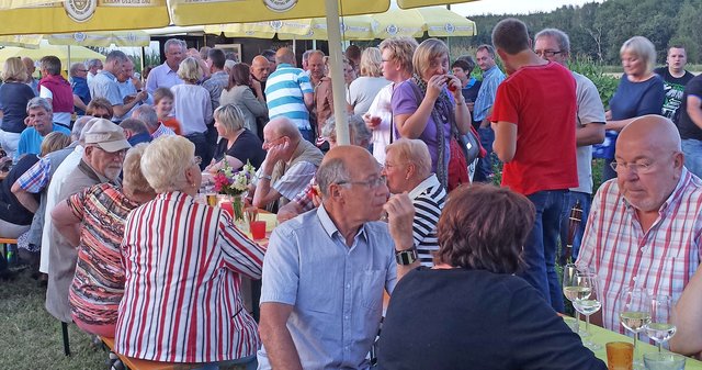 Musik im Blumenfeld: Eindrücke vom fünften „SummerSpecial“ der Stadt Olfen am Hof Tenkhoff. Foto: Werner Zempelin