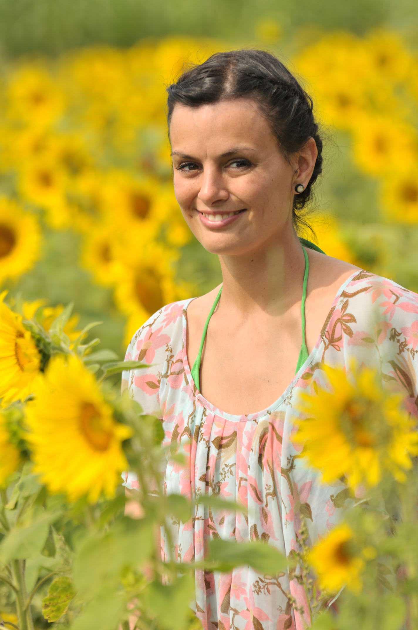 Sommer-Sonnenblume...!