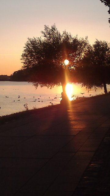 Abendstimmung an der Müritz