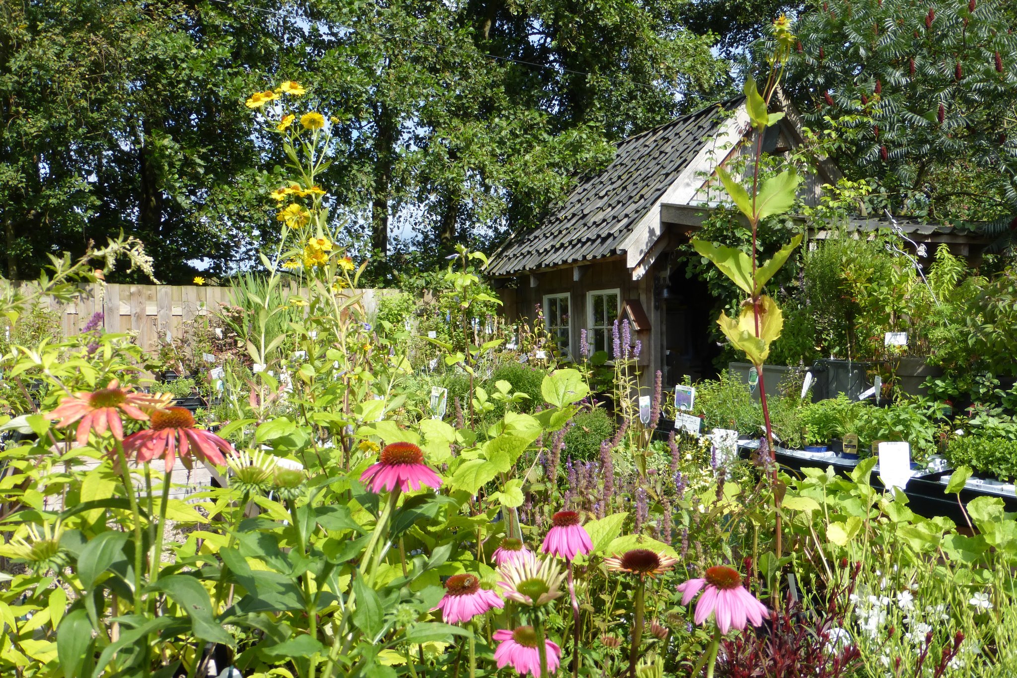 Garten Picker Datteln