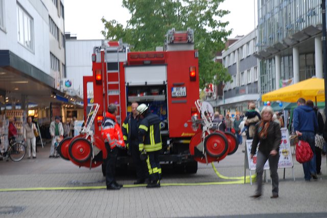Herten: Sägen am Hirschgeweih löst Feuerwehreinsatz aus - Herten