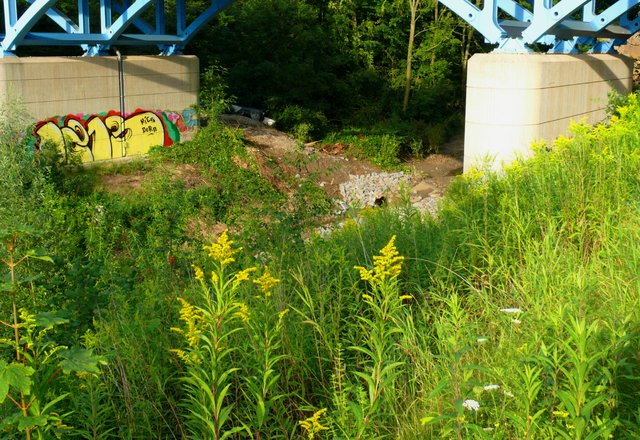 Der erste Wildwuchs hat bereits das Tal erobert.