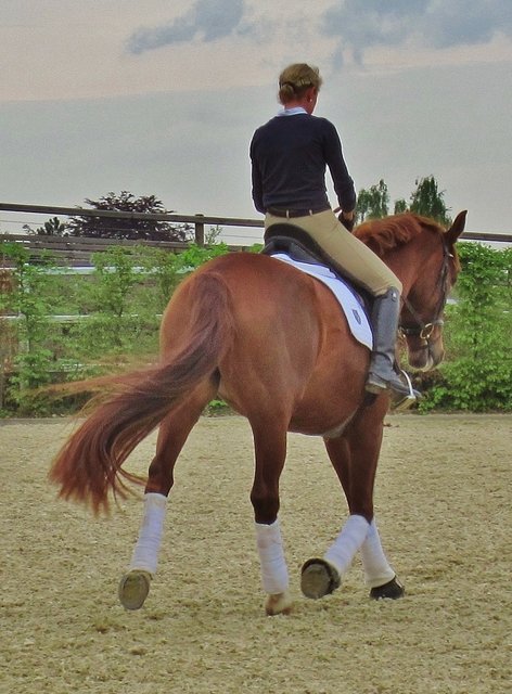 Reiten ist (meistens) Frauensache.