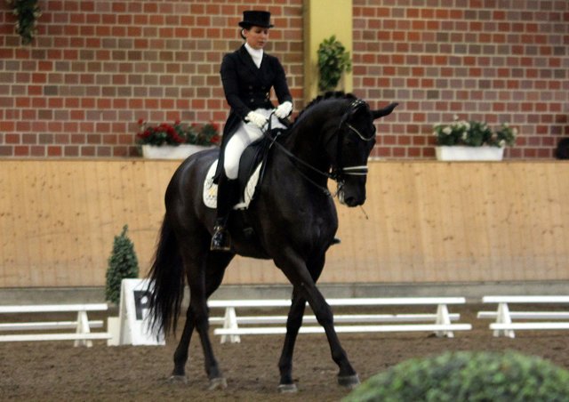 Reitsport in Unna aktuell: Das Late-Entry Turnier in der Massener Heide ...