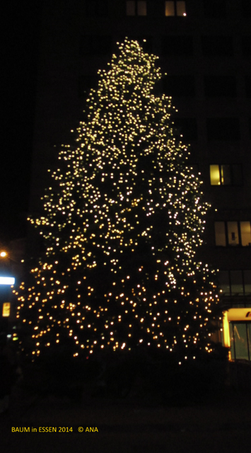 ein schönes Bäumchen....