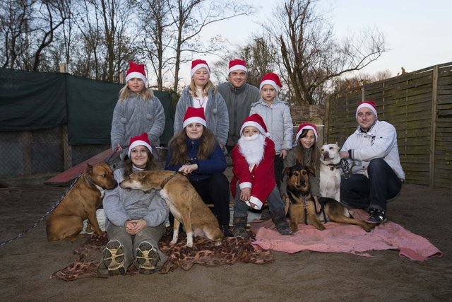 Die Kinder- und Jugendgruppe. Foto: Hundehilfe Deutschland e.V.