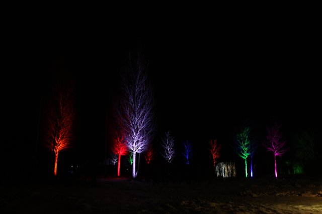 Der Lichtgarten im Sauerlandpark - mit Schnee noch eine Klasse