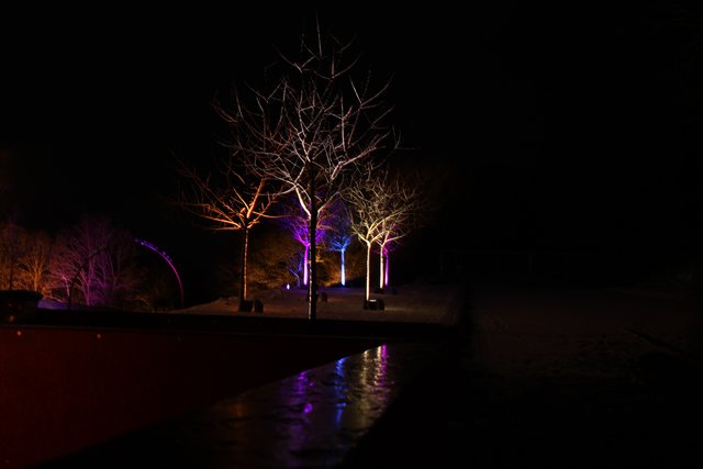 Der Lichtgarten im Sauerlandpark - mit Schnee noch eine Klasse