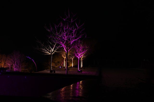 Der Lichtgarten im Sauerlandpark - mit Schnee noch eine Klasse