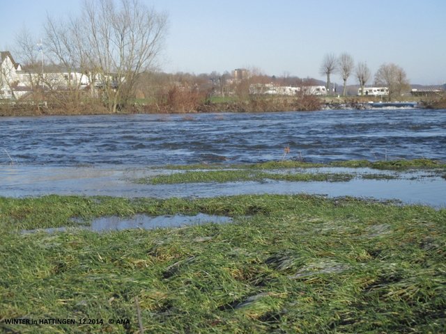 Eisige, winterliche Ruhr... bei Hattingen
