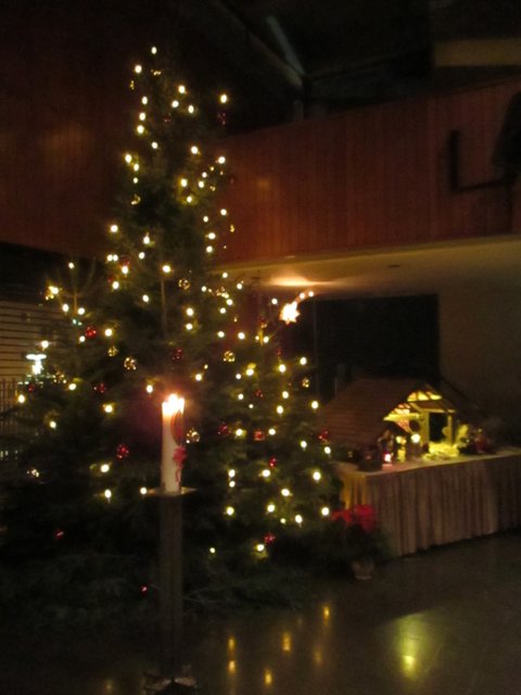 Christbaum in einer Kirche ...