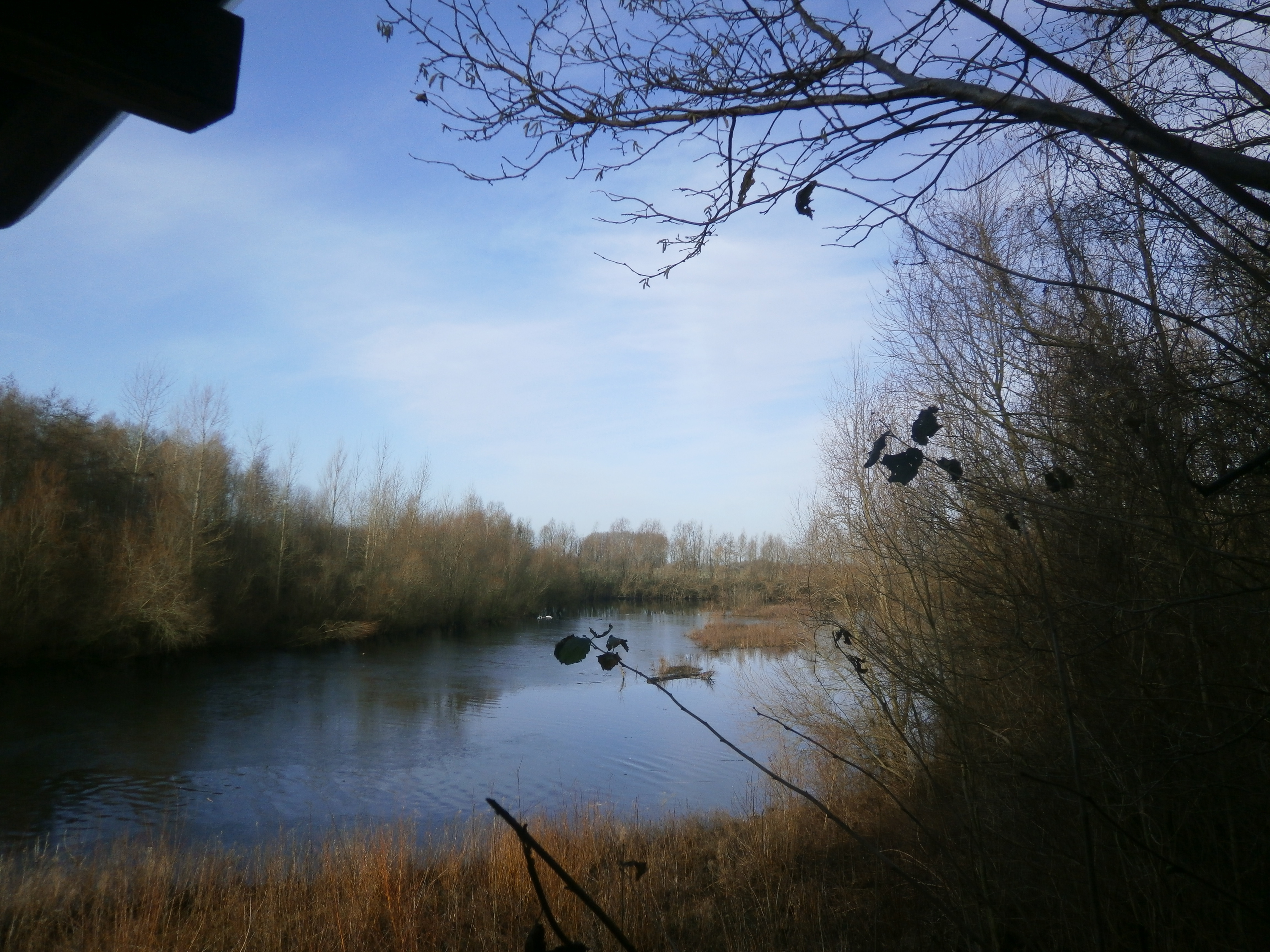 Naturerlebnis Bislicher Insel