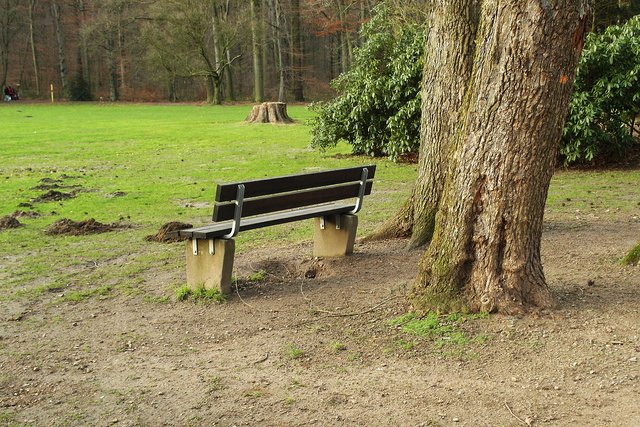 Richtig, super, so muss es sein: Bank mit freier Sicht. Ein Wehmutstropfen allerdings fällt auf: Sturm Ela hat auch den Baum im Hintergrund "vernichtet". Foto: Kariger