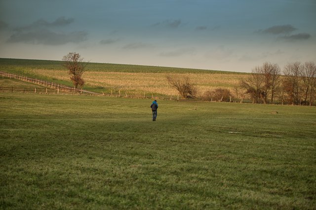 .....weit und breit kein Hund mehr zu sehen