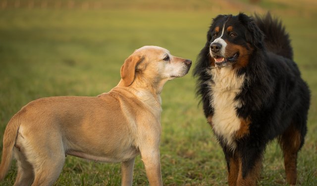 ...er wurde gerufen...