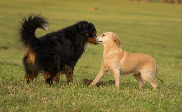 ...erstes kennenlernen...