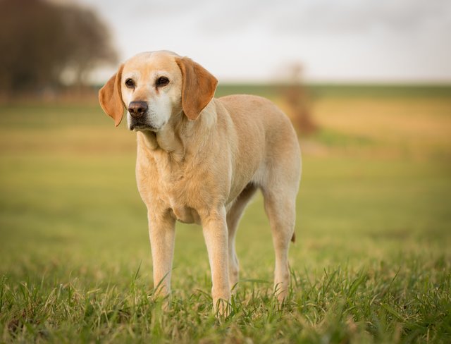 .....und ließ mich alleine zurück :-(