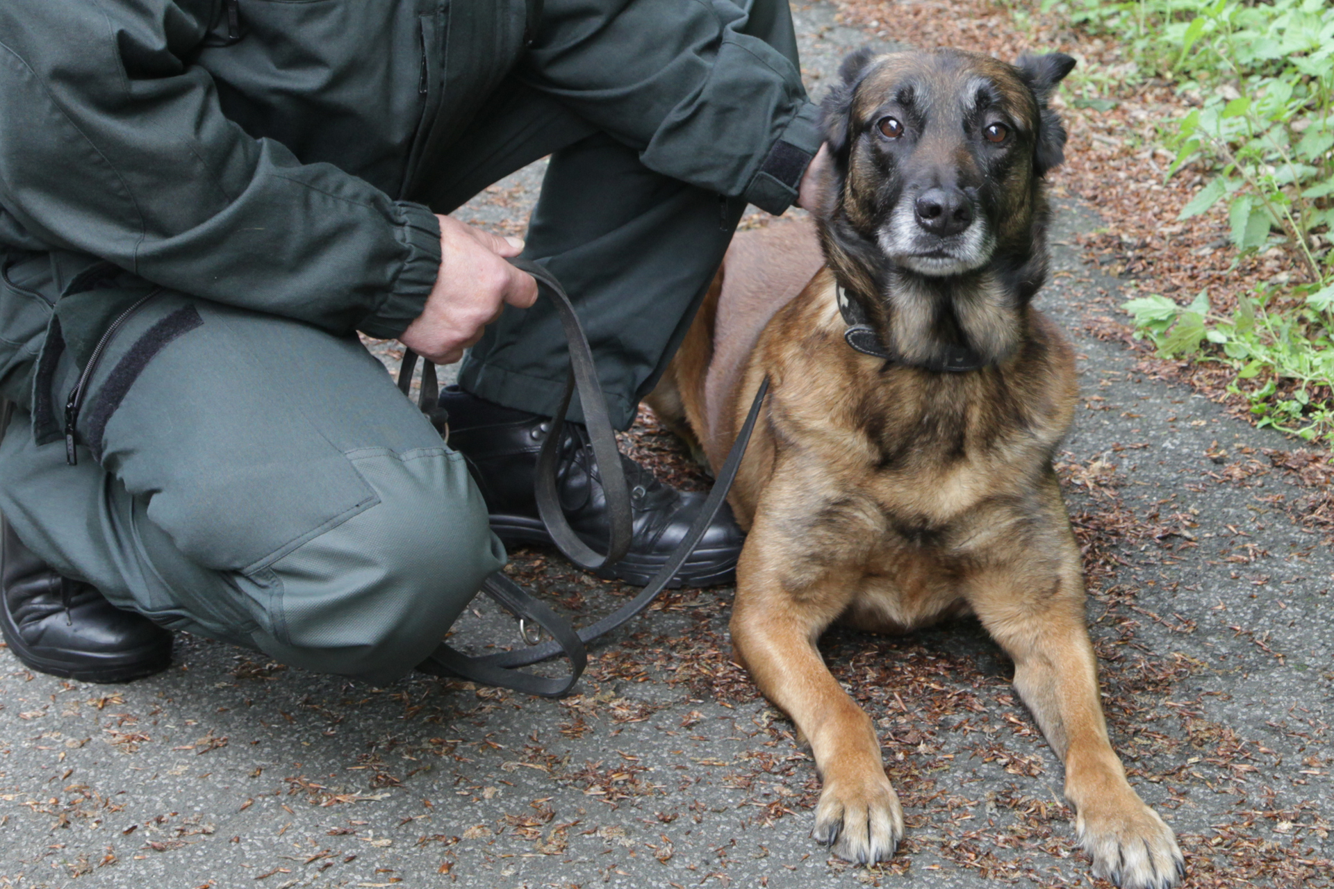 Ein Suchhund der Polizei kam ebenfalls zum Einsatz.